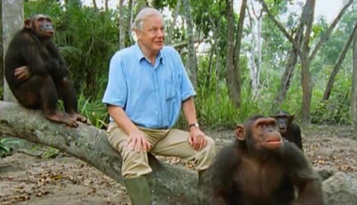 david-attenborough